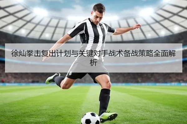 徐灿拳击复出计划与关键对手战术备战策略全面解析